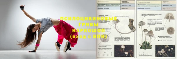 ГАЛЛЮЦИНОГЕННЫЕ ГРИБЫ Алексин