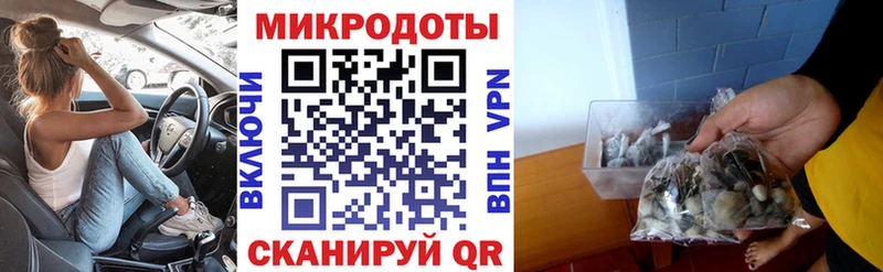 Галлюциногенные грибы Psilocybine cubensis  Крымск 